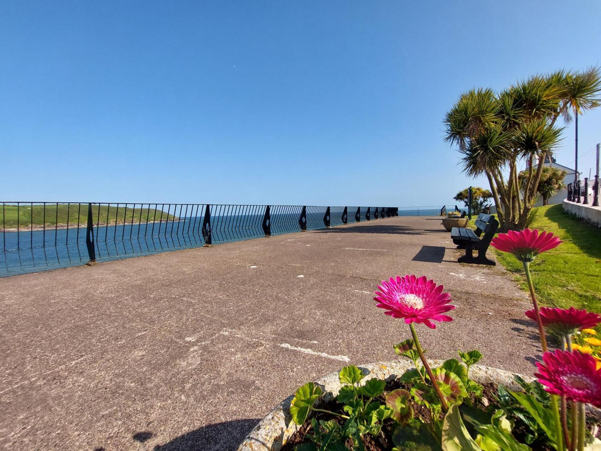 Sea Whispers - My Charming Costal Retreat In Youghal Eksteriør billede