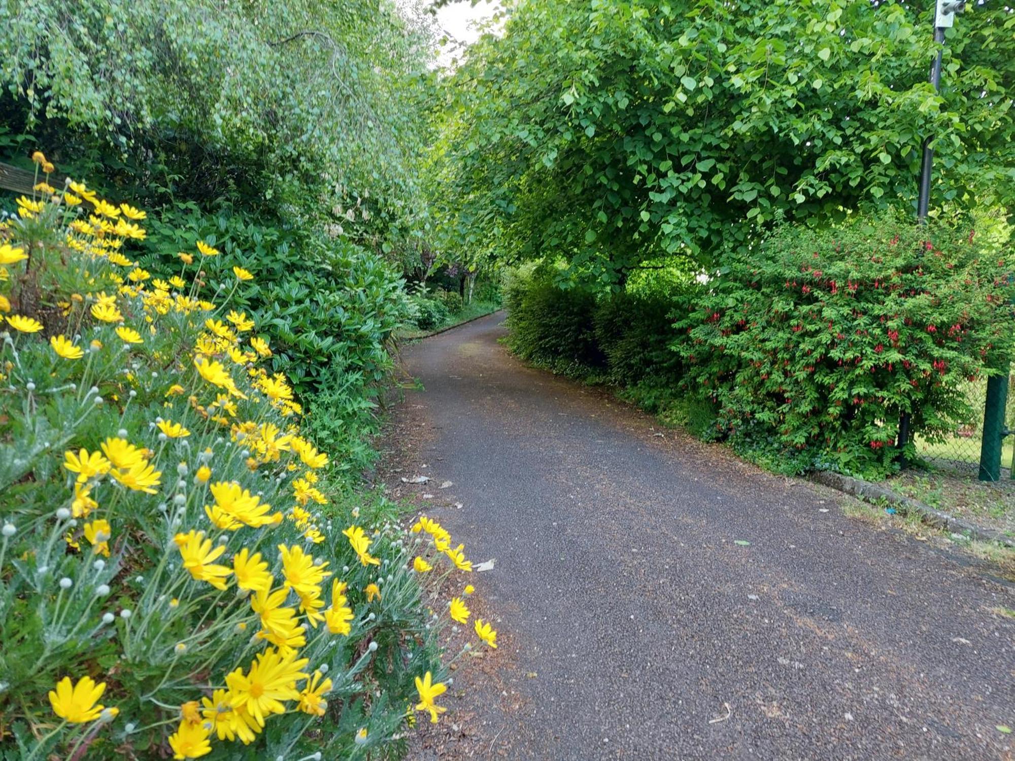 Sea Whispers - My Charming Costal Retreat In Youghal Eksteriør billede